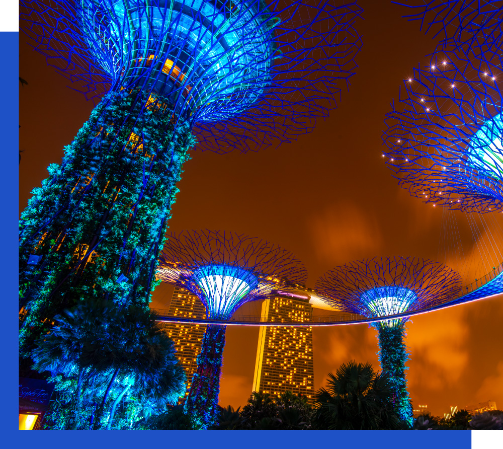 supertree-garden-night-garden-by-bay-singapore-edited